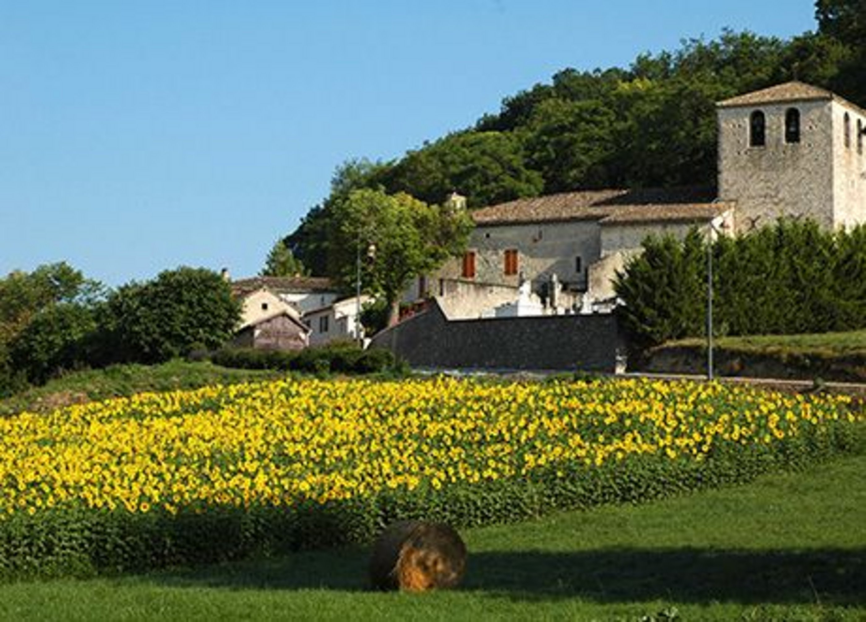 Image décorative de présentation du site : Bienvenue à la mairie de Belvèze